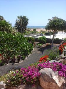a garden with purple and pink flowers next to the beach at Sol y Luz in Caleta De Fuste