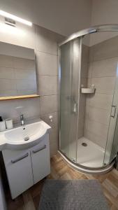 a bathroom with a shower and a sink at Domki Kalinowa14 Kopalino in Kopalino +58 photos