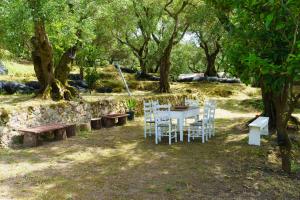 Vonkajšia záhrada v ubytovaní Eleonas-Olive grove traditional holiday appartment