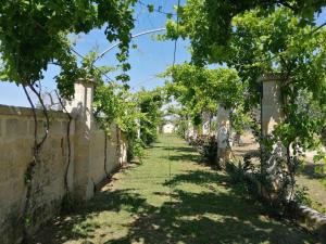 Une allée avec des arbres et un mur dans l'établissement Relais Borgo Segine, à Melendugno