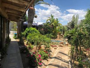 En hage utenfor Villa Yucca