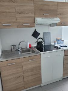 uma cozinha com armários de madeira e um lavatório em Apartament City Center em Lańcut