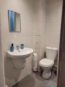uma casa de banho com um WC e um lavatório em Apartament City Center em Lańcut