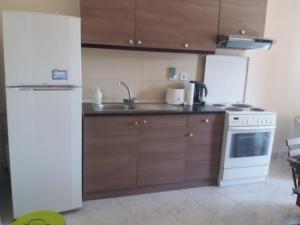 a kitchen with a white refrigerator and a sink at Forest & Sea Apartment in Poros