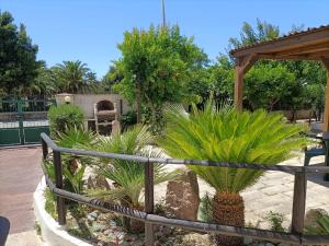 Mony's Island B&B في ألغيرو: حديقة فيها نخيل وسياج خشبي