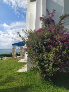 Zahrada ubytování Sunset Beach House Possidi