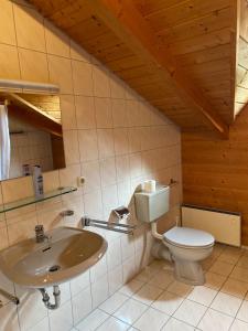 een badkamer met een toilet en een wastafel bij Ferienhaus im Waldferiendorf Regen in Regen