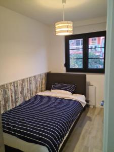 Appartments Akrapovic客房内的一张或多张床位