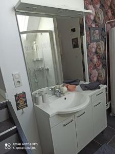 a bathroom with a sink and a large mirror at Le petit palais de NaCo aux portes d'Etretat in Cuverville