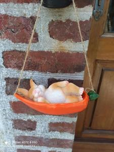 a toy dog sleeping in a hanging basket on a wall at Le petit palais de NaCo aux portes d'Etretat in Cuverville