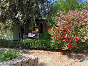 a bush with red flowers in front of a house at Campsite Sunny Home Soline in Biograd na Moru