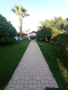 a walkway with a palm tree in a park at Galini apartment near sea, port and airport in Artemida