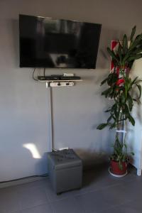 a flat screen tv hanging on a wall with two plants at La huerta in Ushuaia