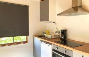 Il comprend une petite cuisine avec un évier et un comptoir. dans l'établissement Lovely Home In Mrbylnga With Kitchen, à Mörbylånga