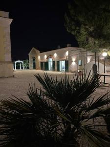 un edificio de noche con una palmera delante en Casale Montereale, en Corato