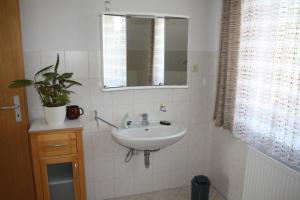 ein Bad mit einem Waschbecken und einem Spiegel in der Unterkunft Wiesenblick in Loitz
