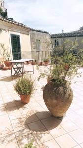 eine große Vase mit Pflanzen auf einer Terrasse in der Unterkunft Casa Vacanza Vico Medica in Modica