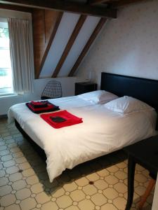 een slaapkamer met een bed met een rood shirt erop bij B&B Sint Blasius Hof in Zwalm