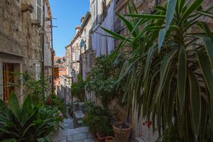 un callejón con plantas y macetas en Apartman Mama Marija en Dubrovnik