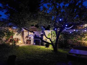 a house with lights in the yard at night at Garden house in Bratislava