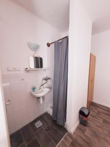 uma casa de banho com um lavatório e um chuveiro com uma cortina de chuveiro em Central Room em Balatonszárszó