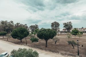 Imagen de la galería de Alojamiento Rural El Sombrero, en El Rocío