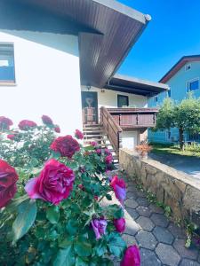 a bush of roses in front of a house at Apartma KAMNITNK in Škofja Loka