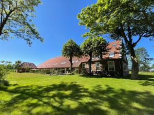 Zahrada ubytování Gulfhof Dreybült Dreybült 7 Friso