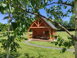 a small wooden cabin in a grassy field at Chalets et cabane perchée "Ô Cœur des Puys" in Ceyssat