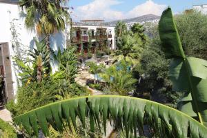 Blick auf ein Resort mit Palmen und Gebäuden in der Unterkunft Olira Boutique Hotel&SPA in Gündoğan