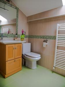 y baño con aseo, lavabo y espejo. en Auténtica buhardilla en el centro de Béjar, en Béjar