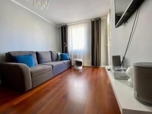 Televízia a/alebo spoločenská miestnosť v ubytovaní Apartament Witawa 22