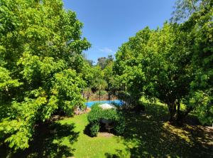 an overhead view of a garden with trees and a pool at Studios La Bella Vida en Escobar in Belén de Escobar
