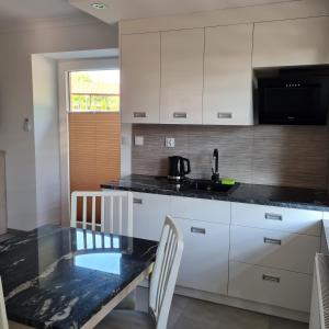 Η κουζίνα ή μικρή κουζίνα στο Apartamenty Zełwągi 15