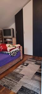 a bedroom with a bed with a tv and a rug at Apartman-Jovic in Malo Laole