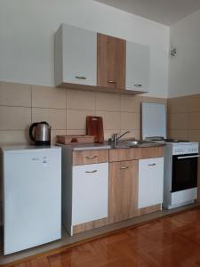 Gallery image of APARTMENT JOVOVIC in Pluzine