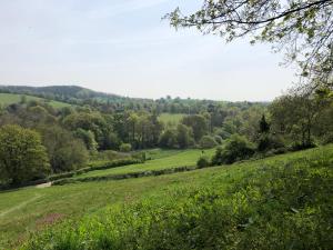 een veld van groen gras met bomen op de achtergrond bij Chapel View Cottage in Beaminster