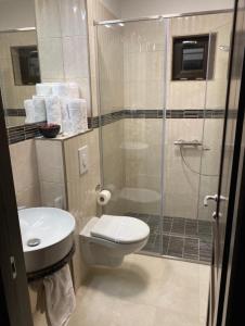 uma casa de banho com um chuveiro, um WC e um lavatório. em Hotel Restaurant Alessia em Ranca
