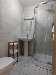 a bathroom with a shower and a sink and a toilet at Cottage Court Hotel in Tenby