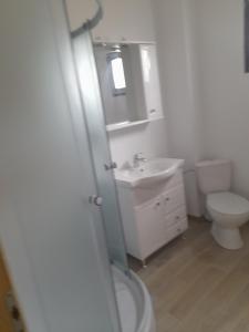 uma casa de banho branca com um WC e um lavatório em Casa Catalin em Gura Humorului