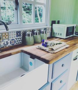 a kitchen with a counter top with a microwave at Jasmine The Shepherd Hut in Woodhall Spa