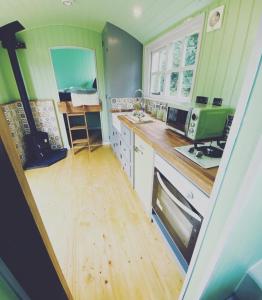 a kitchen with green walls and a wooden floor at Jasmine The Shepherd Hut in Woodhall Spa