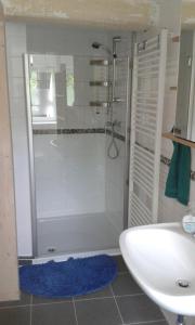 W łazience znajduje się prysznic i umywalka. w obiekcie Wohnen im Fachwerkhof w mieście Kassel