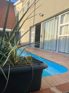 a black pot with a plant in front of a house at Bella Lux Villa in Durban
