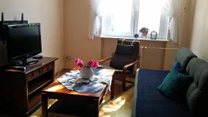 Televízia a/alebo spoločenská miestnosť v ubytovaní Apartament nad Parsętą w centrum - prywatne miejsce postojowe & dwa rowery