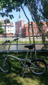 Jazda na bicykli v okolí ubytovania Apartament nad Parsętą w centrum - prywatne miejsce postojowe & dwa rowery