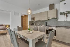 Kuchyň nebo kuchyňský kout v ubytování Family Apartments Klínovec