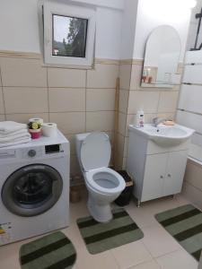 Bilik mandi di Apartament Ioana