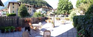 a patio with a table and chairs and a dog at Albergo Garnì Cavento in Pinzolo