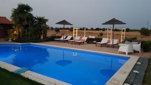 una piscina azul con sillas y sombrillas en Trendy and Luxe Bed & Breakfast, en Ferreira do Alentejo
